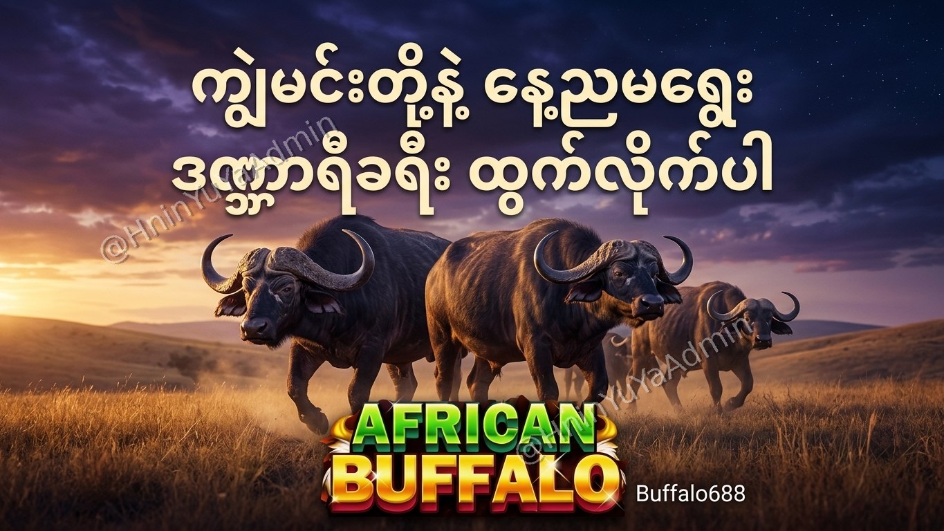 ကျွဲဂိမ်းအစစ် Buffalo688 ၊ကျွဲဘုရင် ၊ရှမ်းကိုးမီး၊ဘူကြီး