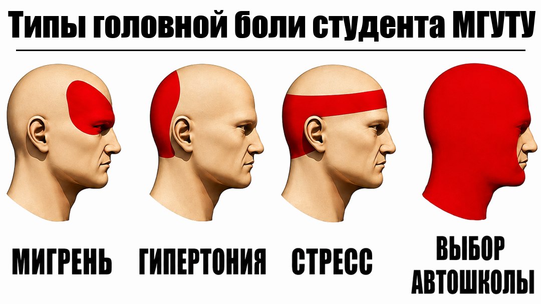 Автошкола для студентов МГУТУ