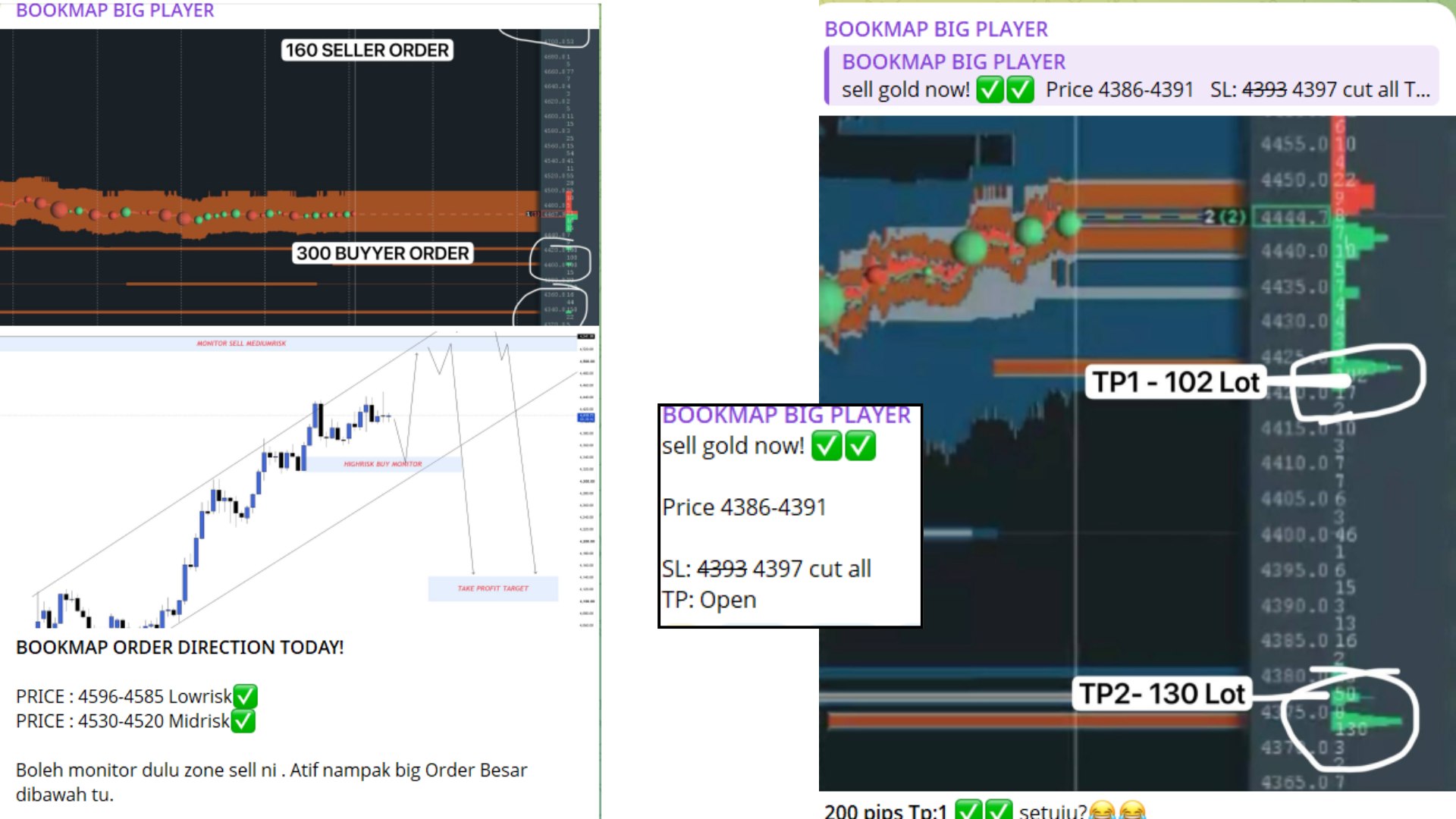 BOOKMAP BIG PLAYER