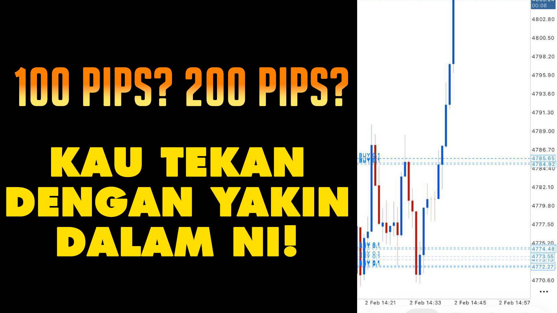 KILLERPIPS SCALPING ANEP