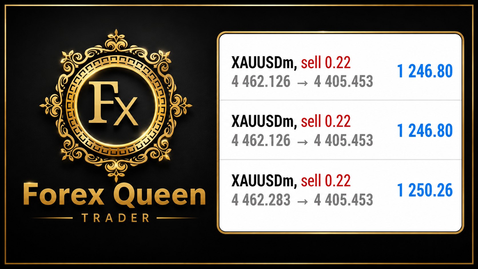 FOREX TRADING QUEEN