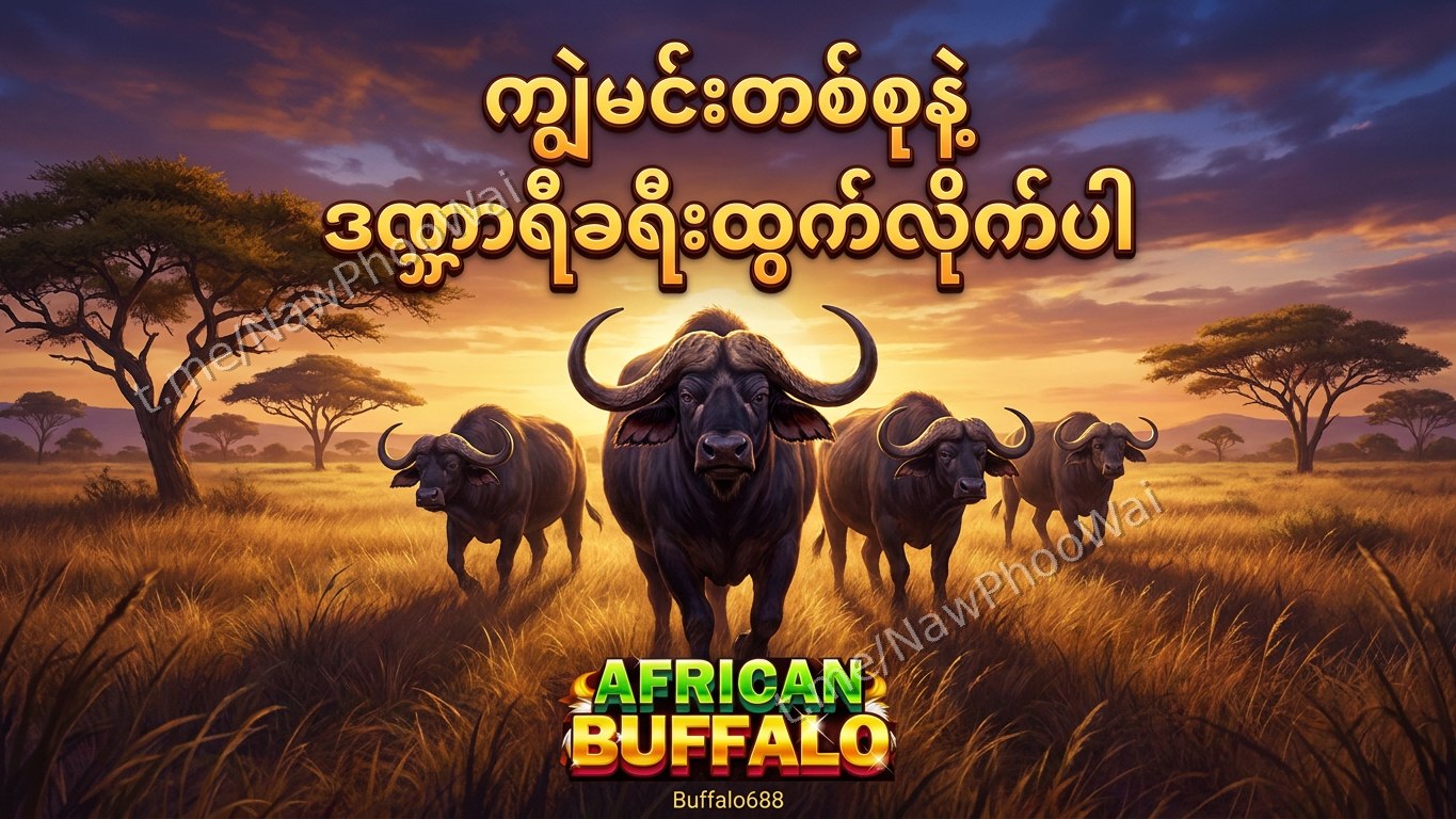 ⏰ ကျွဲဂိမ်း - နော်ဖူးဝေ 24 နာရီဝန်ဆောင်မှု