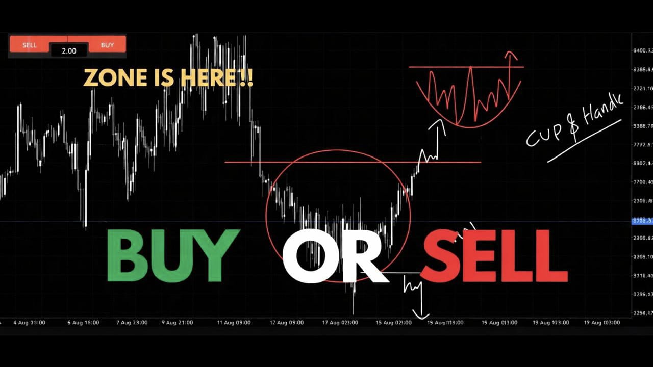 Forex King