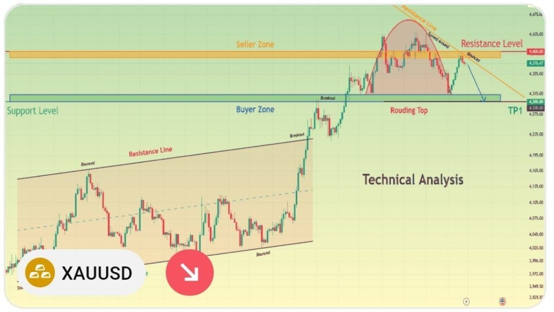 168FX Market Insights