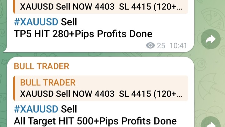Gold Trading Team