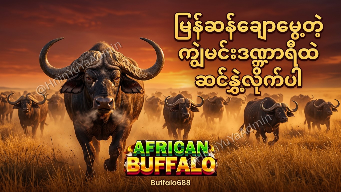 ကျွဲဂိမ်းအစစ် Buffalo688 ၊ကျွဲဘုရင် ၊ရှမ်းကိုးမီး၊ဘူကြီး