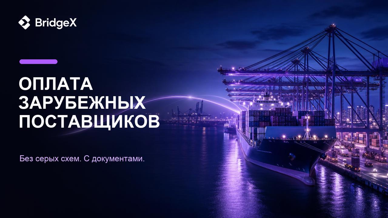 BRIDGE-X | Платежи для бизнеса
