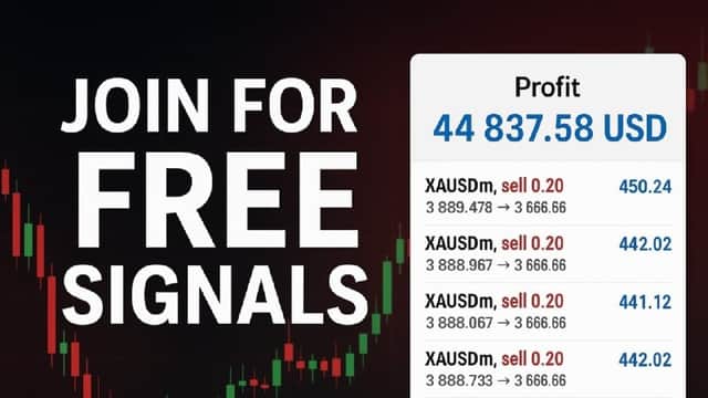 TRADING FX STAR