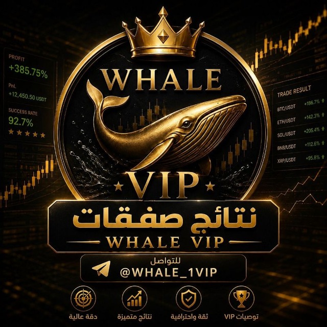 @btccvipp