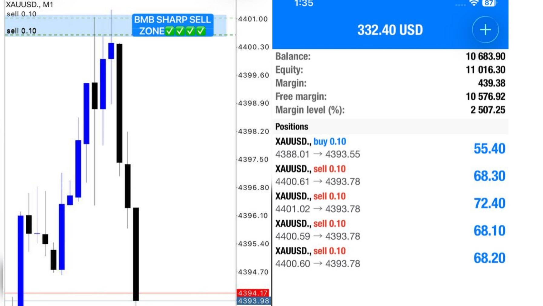 DASHA TRADING CLUB