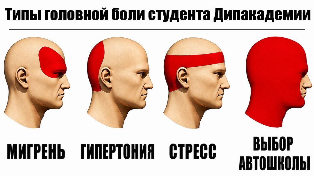 Автошкола для студентов Дипакадемии