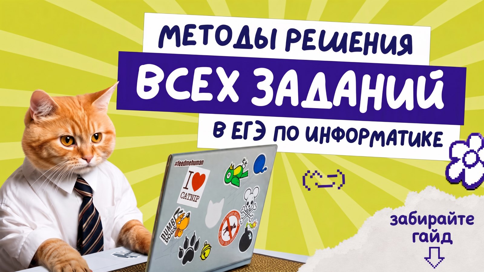информатика и котики / ЕГЭ ОГЭ Стадикэтс