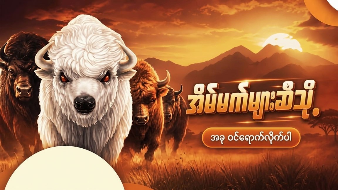 Burma African Buffalo