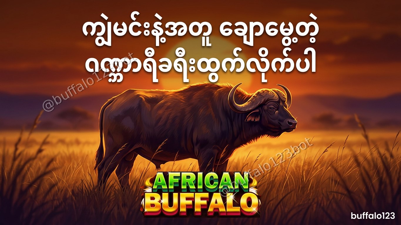 ကျွဲဂိမ်း Buffalo123 Official