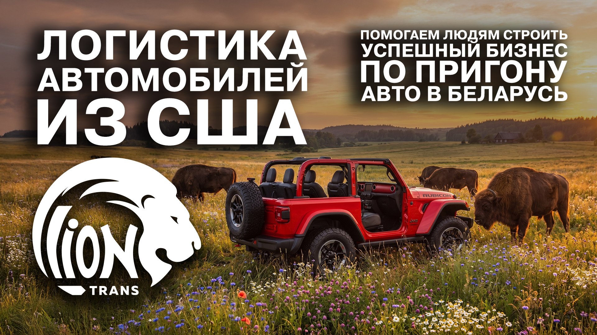 LionTrans