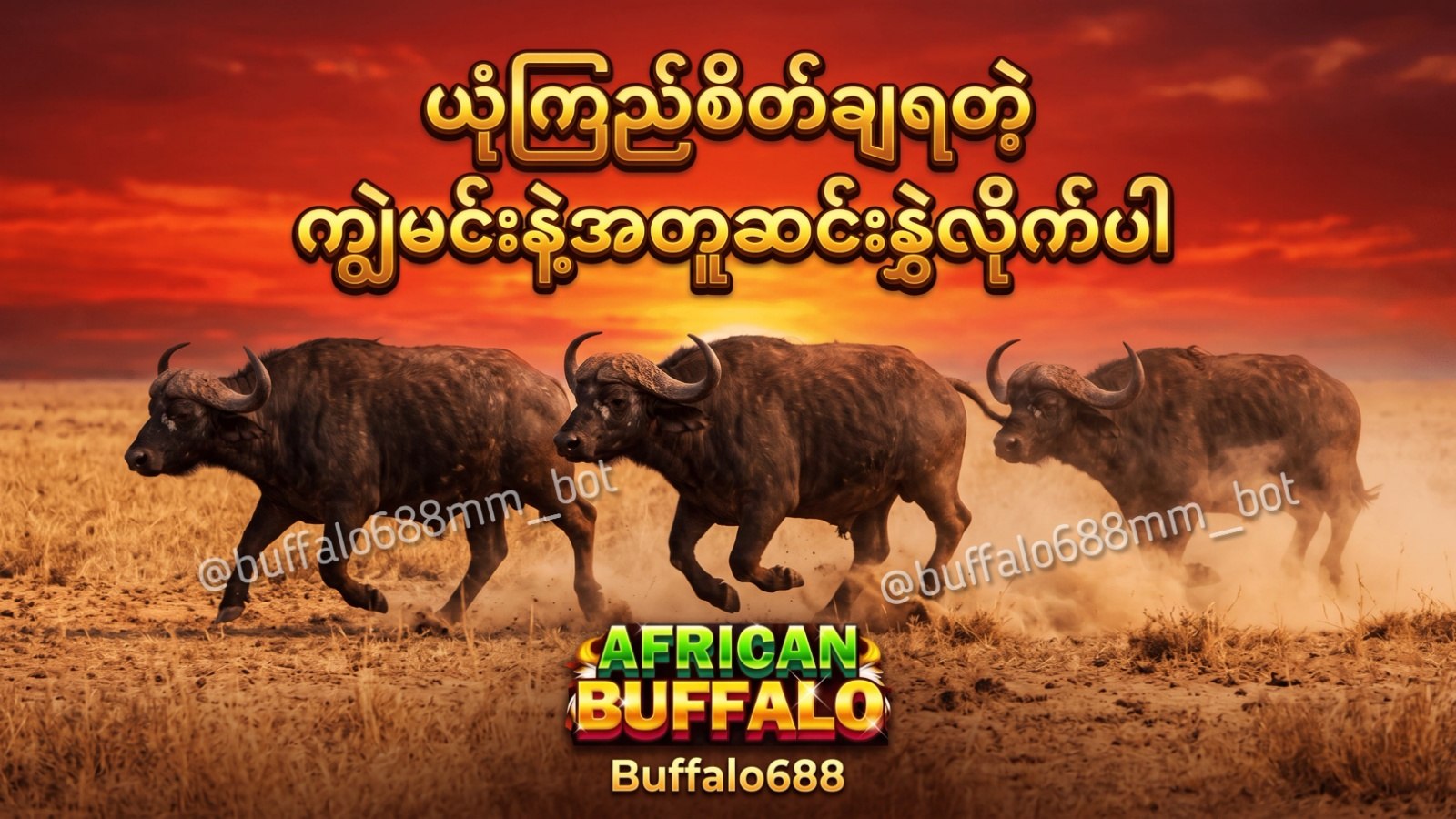 Buffalo688 Myanmar Official