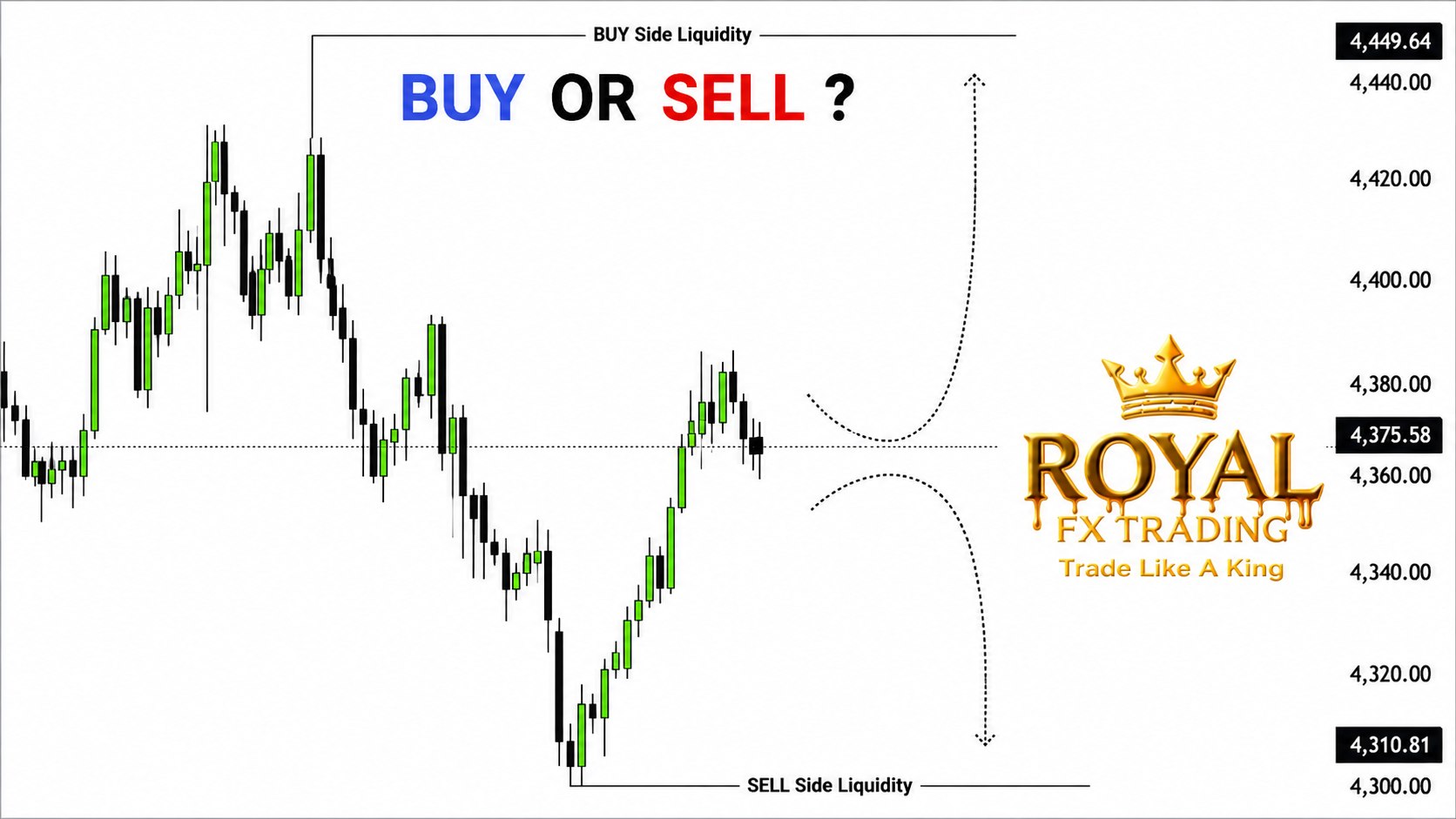 ROYAL_FX_TRADING