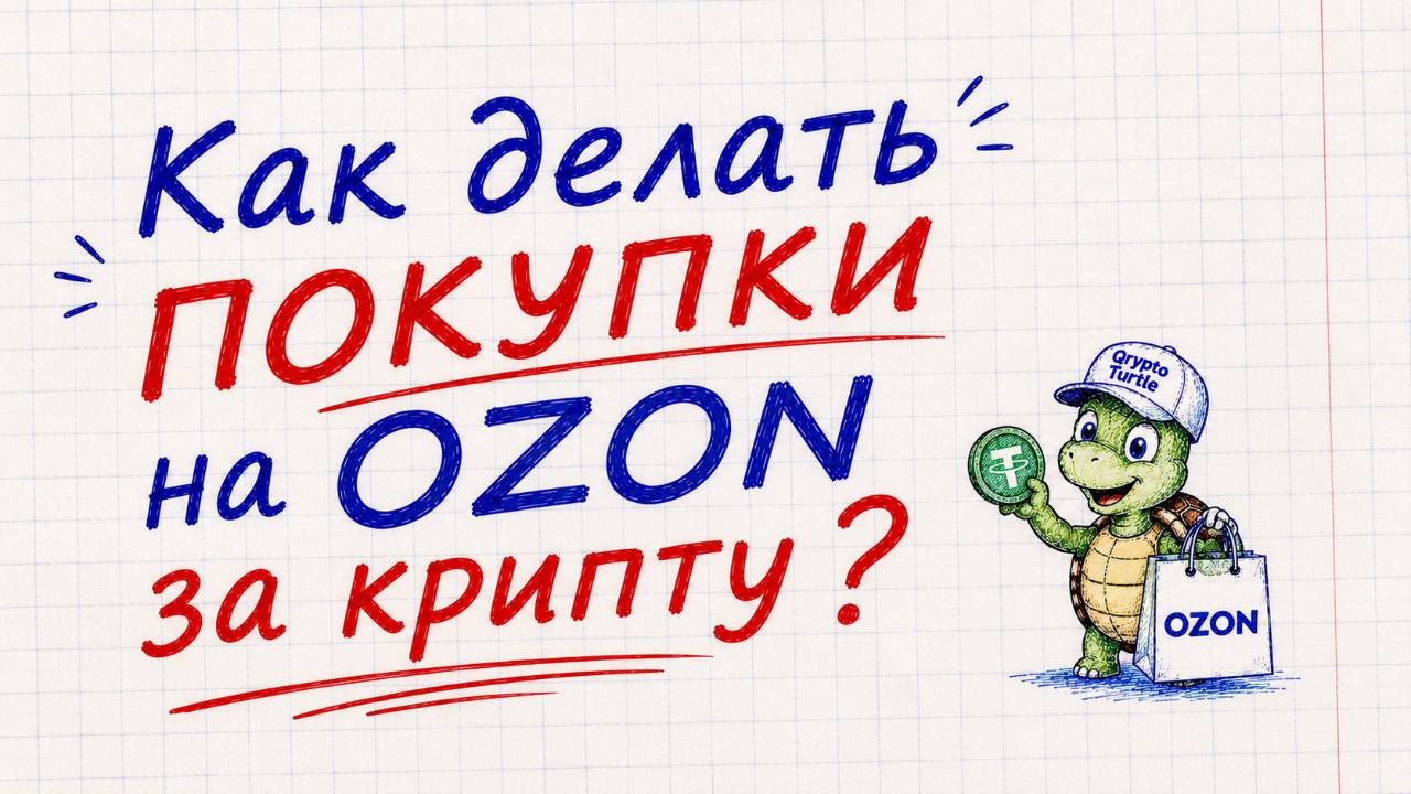 QRypto Turtle Blog