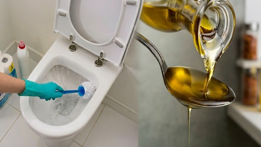LIFEHACKS💡