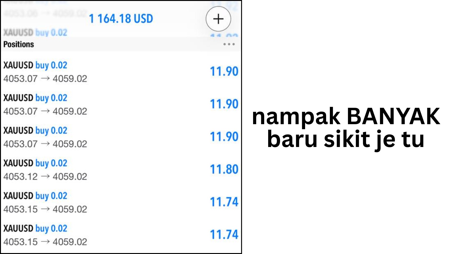 Along Gold Scalper